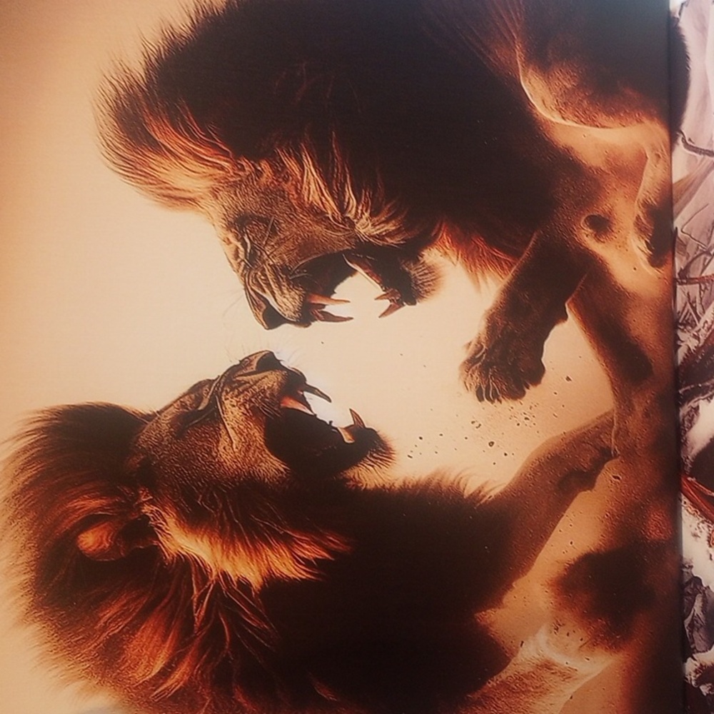 Canvas picture two lions in battle 20"x20"